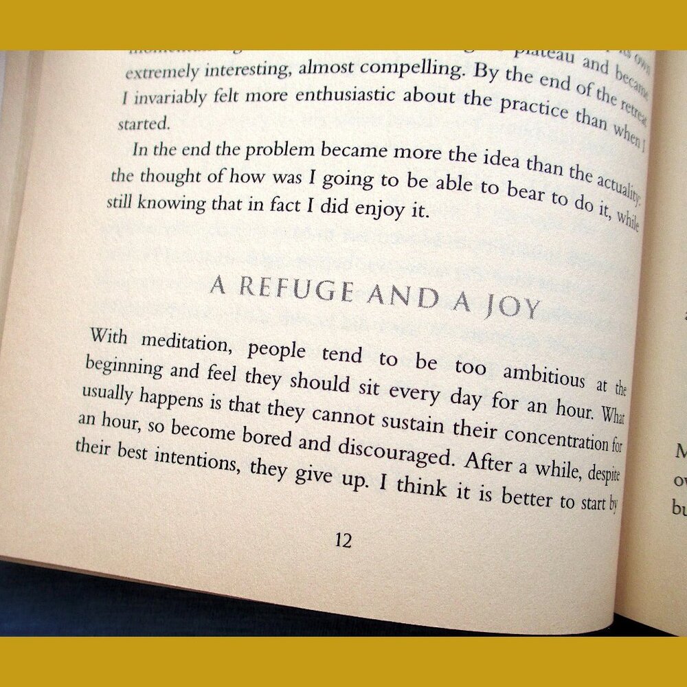 Book: Walking on Lotus Flowers, by Martine Batcheleor - Picture 5 of 14